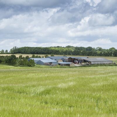 farm buildings surrounded by fields