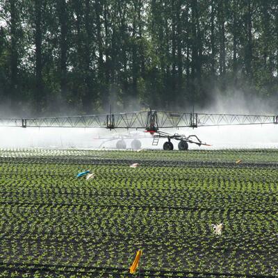 Farm machinery spraying crops