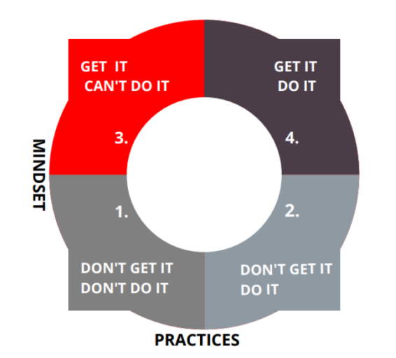The mindset/practices model