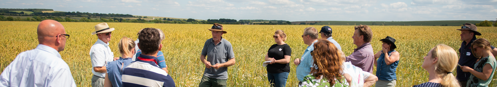 Group of people talking in field with blue skies