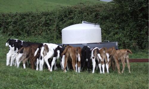 Wastenage Farm -Farm Visit | Nuffield Farming Scholarships