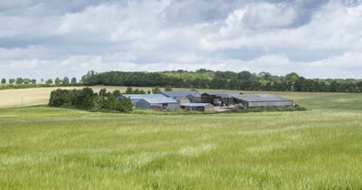 farm buildings surrounded by fields