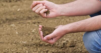 person testing soil