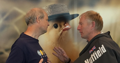 Our new vice talking chicken