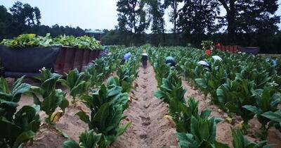 TOM ORMESHER FROM WEST SUSSEX ATTENDED THE JAPAN GFP