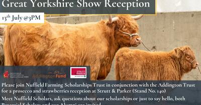 Great Yorkshire Show