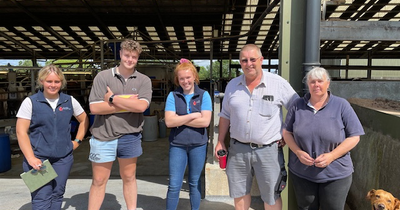 Alvis family and Next-gen