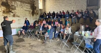 Tom's Farm Walk
