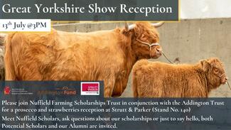 Great Yorkshire Show