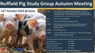 Pig Study Tour