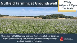Groundswell 2025