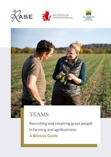 Teams bitesize