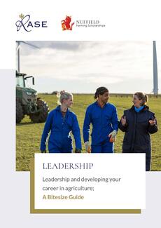 Leadership bitesize