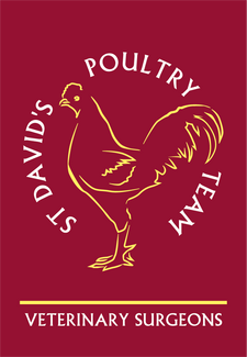 St David's Poultry Team