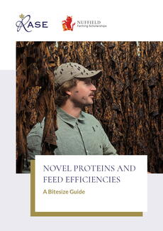 Bitesize Proteins