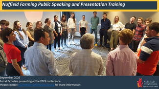 Presentation training 