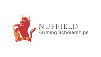 NFST Logo