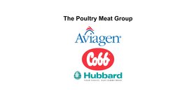Cobb Logo, Hubbard Logo and Aviagen Logo
