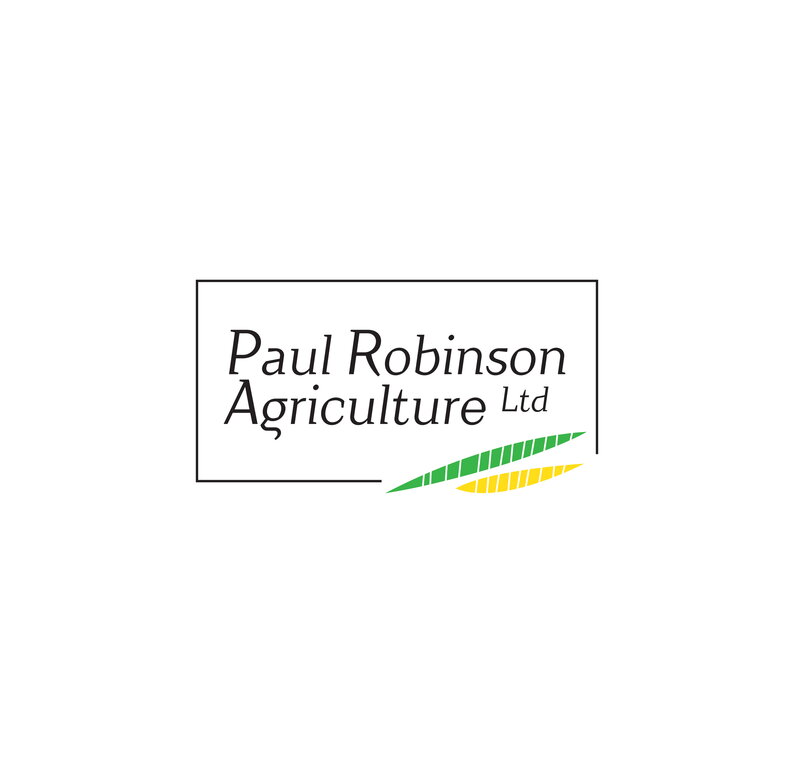 Paul Robinson