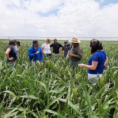 Group of people looking at crops