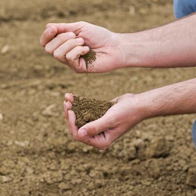 person testing soil