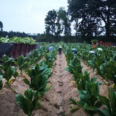 TOM ORMESHER FROM WEST SUSSEX ATTENDED THE JAPAN GFP