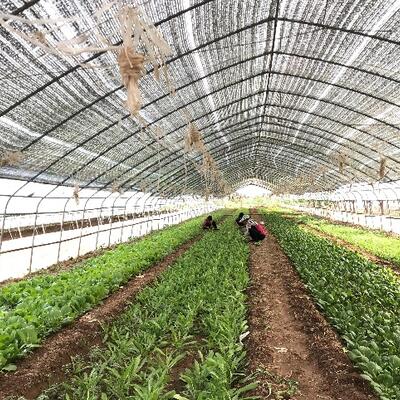 DUNCAN WILLIAMS FROM ESSEX, ATTENDED THE CHINA GFP